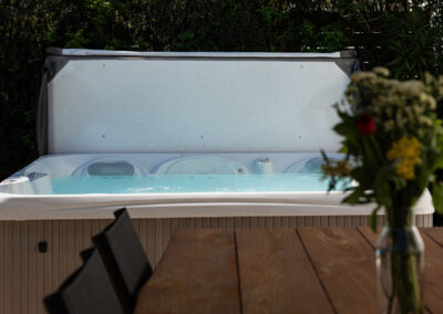 CALIFORNIE DETAIL JACUZZI