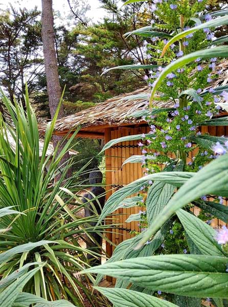 jungle spa sherwood5