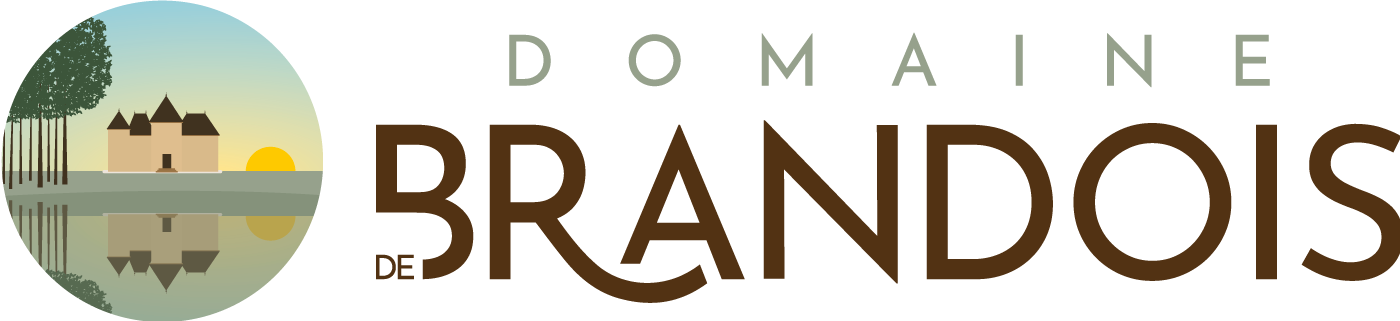 Logo Brandois horizontalpng
