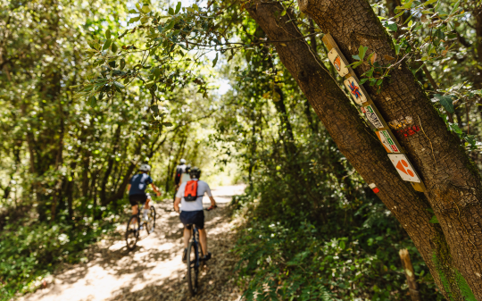 Balade à vélo Notre Dame de Monts